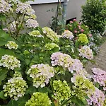 Fewo In Familienhaus Mit Garten, Terrasse, Carport Mit E-Ladestation, Suedost