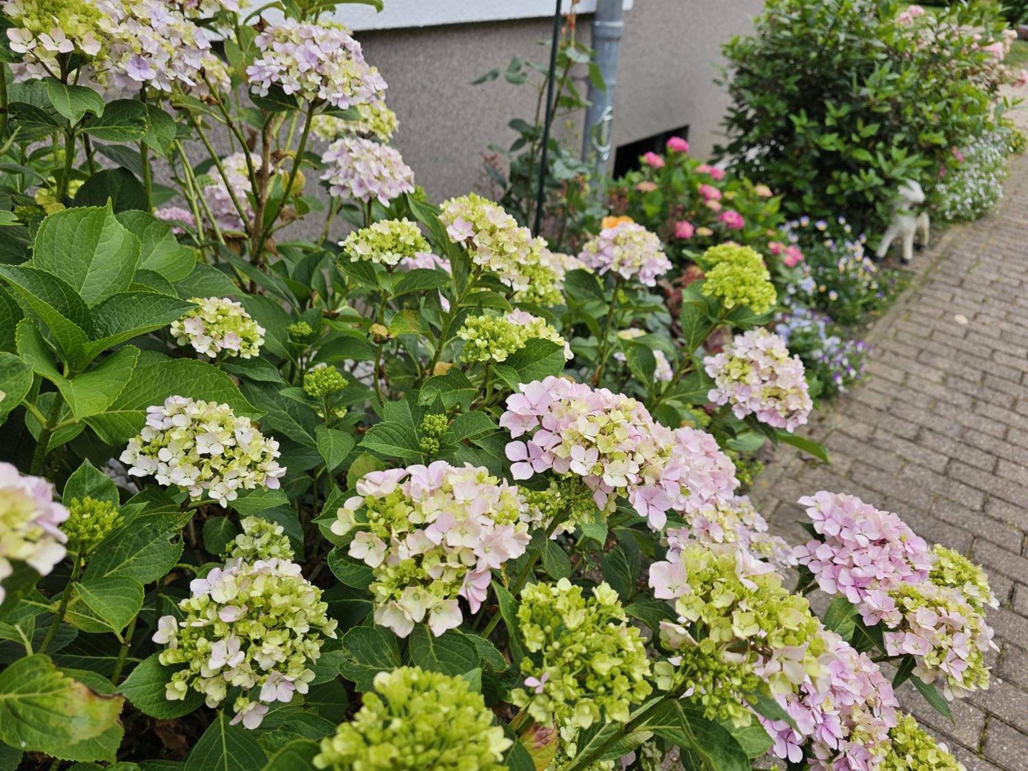 In Familienhaus Mit Garten, Terrasse, Carport Mit E-ladestation, Suedost Leipzig