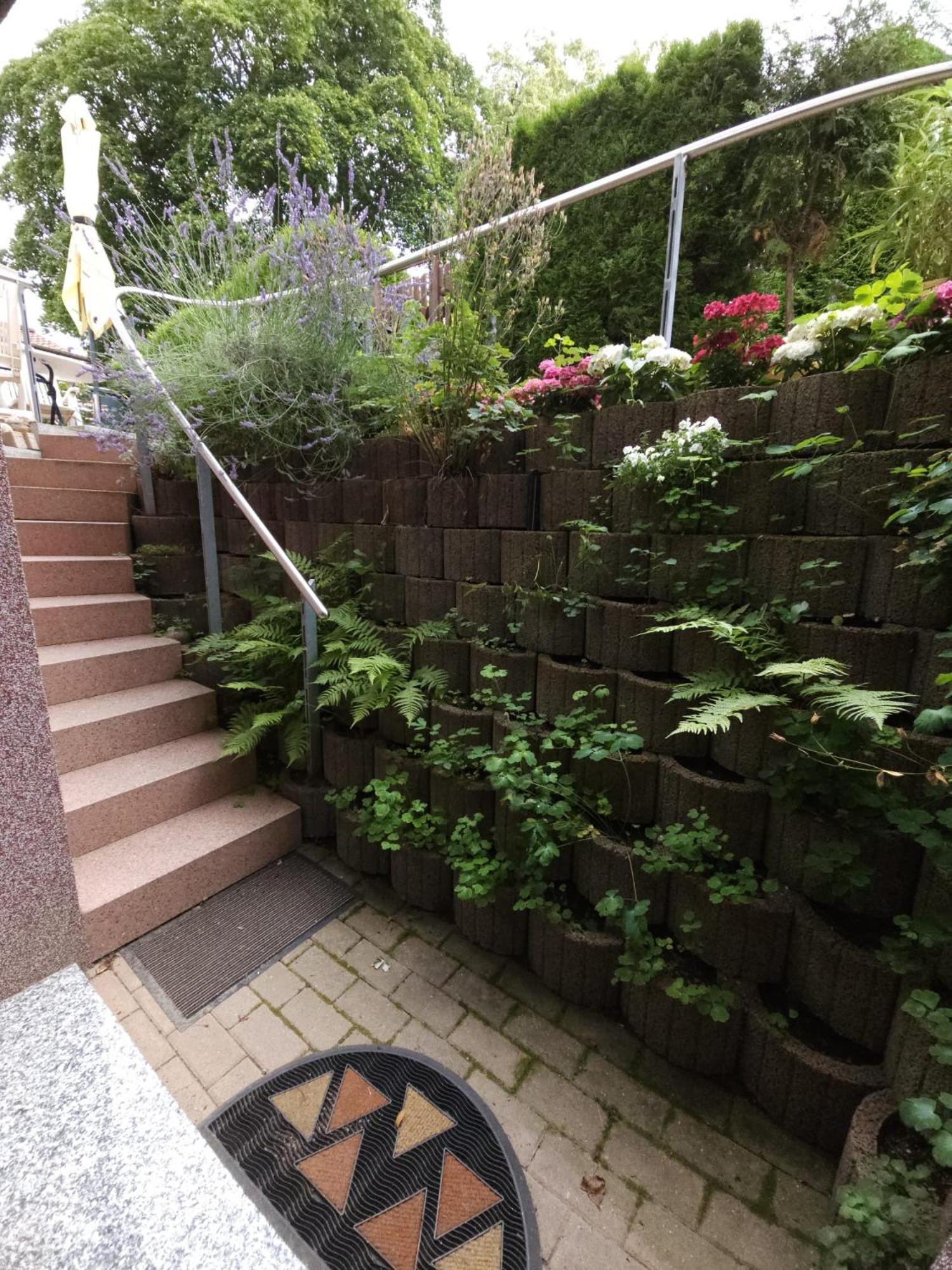 Apartment In Familienhaus Mit Garten, Terrasse, Carport Mit E-ladestation, Suedost *
